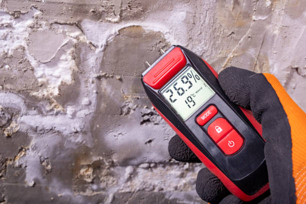 Best Certified Mold Removal  in Roseland, NJ