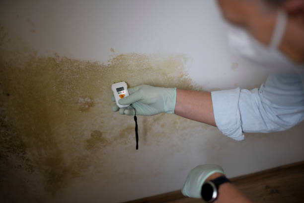 Best Mold Testing  in Roseland, NJ