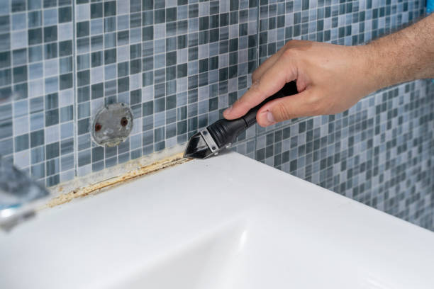 Mold Removal and Inspection in Roseland, NJ