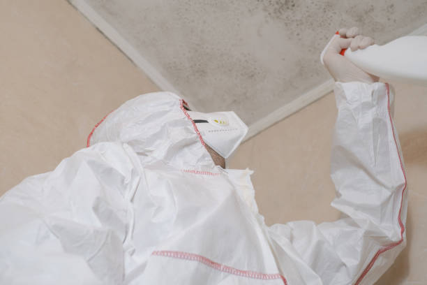 Best Fast Mold Removal  in Roseland, NJ