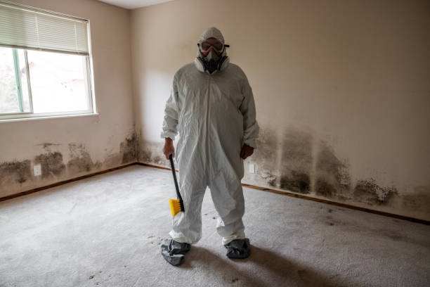 Best Emergency Mold Removal  in Roseland, NJ